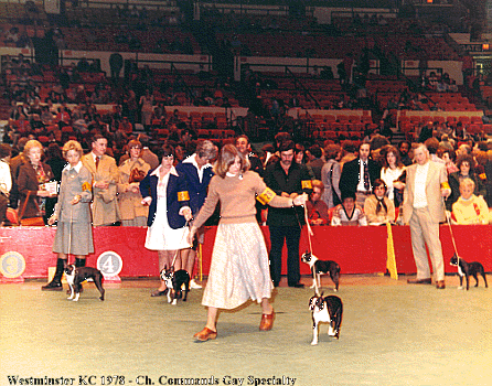 Chris at Westminster 1978