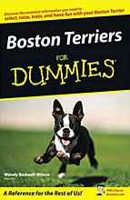 Boston Book