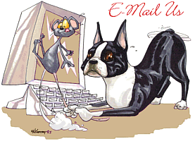 E-Mail Us Here