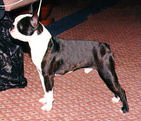 Sherman