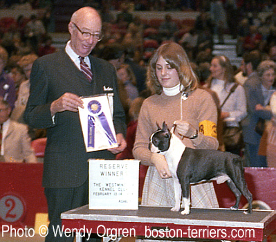 Gryphon at Westminster 1978